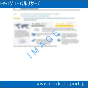 市場と産業調査レポートのイメージ